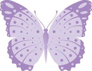 Разные бабочки4-02