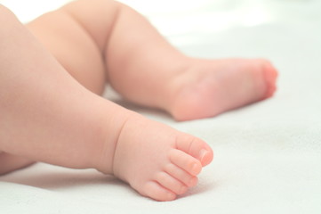 Legs of newborn baby