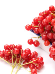 Fresh cranberries in dish isolated on white background