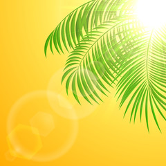 Palm tree on sun background