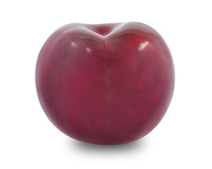plum fruit