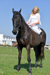 Fototapeta premium horse jumping