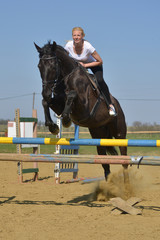 horse jumping