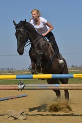 horse jumping