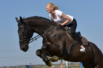 horse jumping