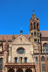 Fototapeta na wymiar Freiburg Minster in Freiburg im Breisgau, Germany