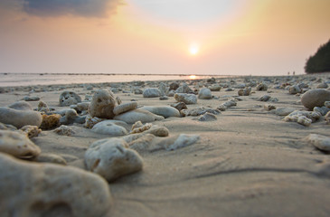 phuket evening light on the beach clear sky