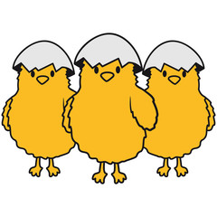 3 Küken mit Eierschale auf dem Kopf
