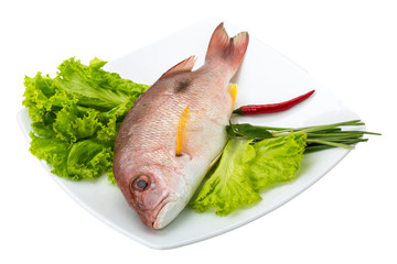 Raw red snapper