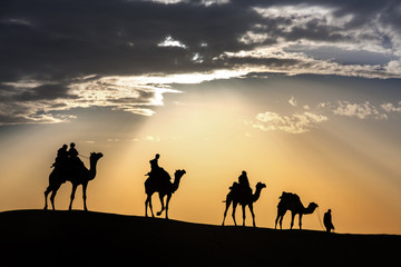 Fototapeta na wymiar lokalnych spacery z pustynia wielbłąd przez pustynię Thar