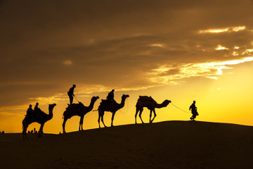 Fototapeta na wymiar desert local walks with camel through Thar Desert