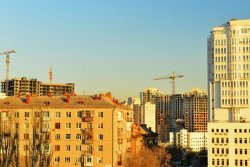 Красивая аллея