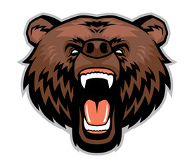 angry brown bear head
