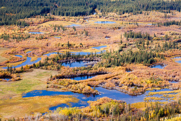 Wetland marsh ponds fall boreal forest taiga Yukon