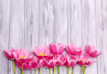 Beautiful flowers on color wooden background