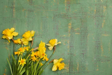 Photo sur Plexiglas Narcisse Beautiful flowers on color wooden background