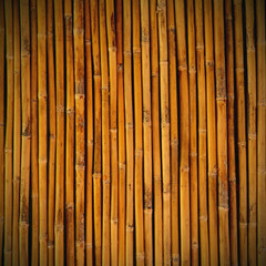 Bamboo for background  texture