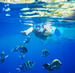 Fototapeta premium Snorkel