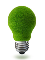 green grass bulb conceptual ecology