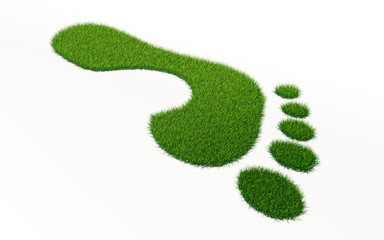 grass footprint ecology concept