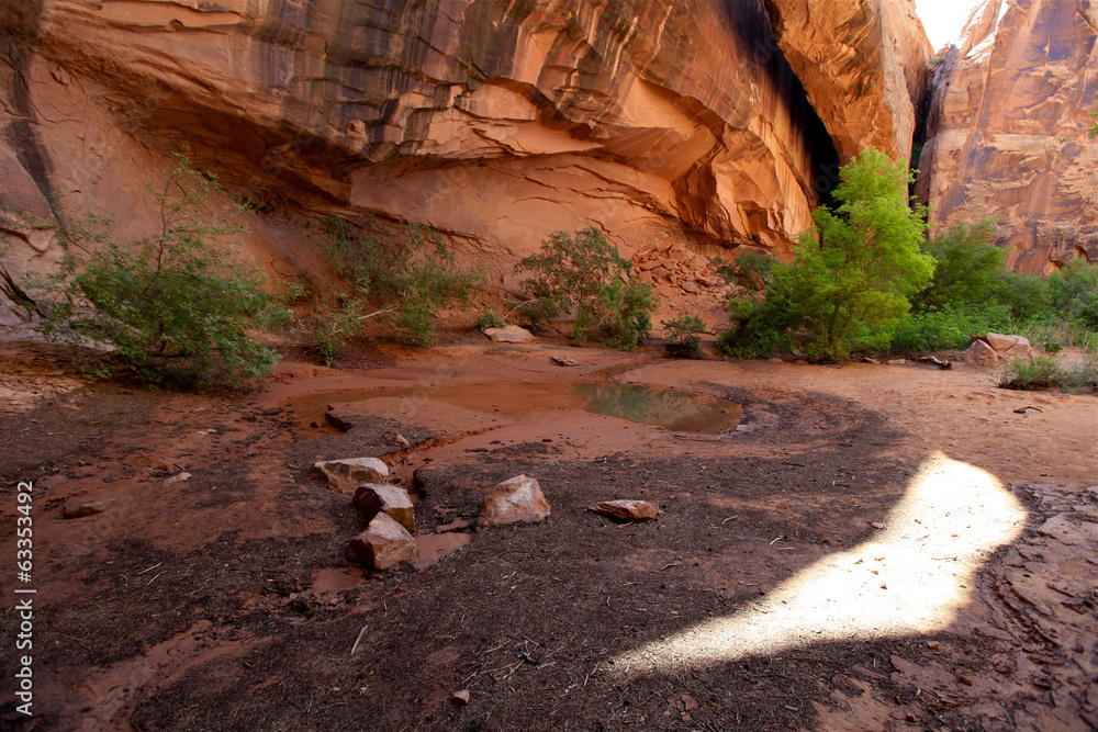 Canvas Prints morning glory bridge, Moab