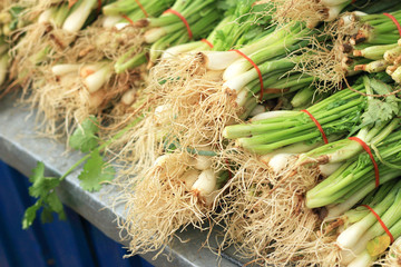 coriander to the market