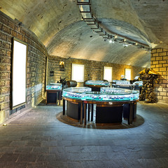 Wine cellar with wine bottle and glasses