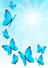 Fototapeta na wymiar Blue butterflies on sunny sky background