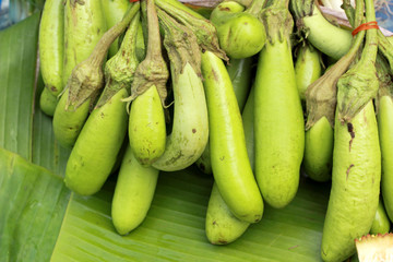 long eggplant in the market