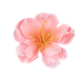 Pink artificial flower.