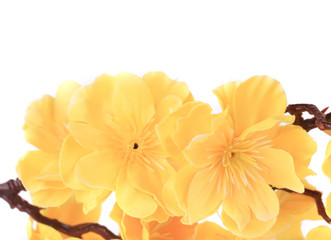 Obraz na płótnie Canvas Yellow artificial flowers.