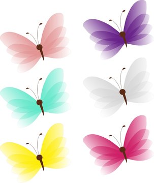Colored butteflies