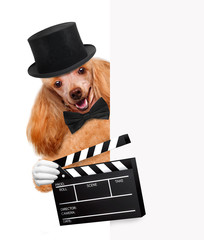 Movie clapper board director dog.