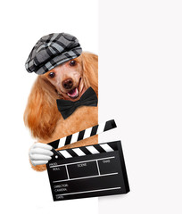 Movie clapper board director dog.
