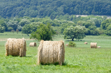 Straw bales at summer