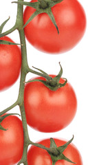 Composition of tomatoes cherry