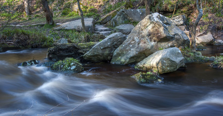 Boulders in woodland stream