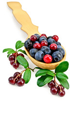 Blueberries and cowberry in a spoon with leaf