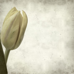 textured old paper background