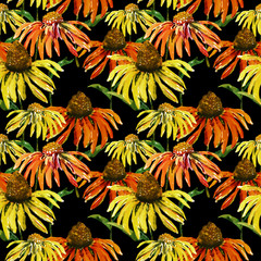 Plakaty  Echinacea bez szwu wzór