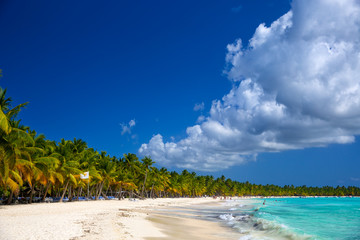Tropical beach in Caribbean Sea, Dominican Republic