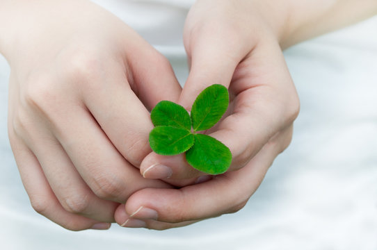 Compassion with a Four Leaf Clover