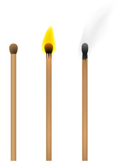 Set of burnt match