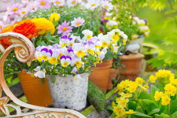 Deko mit Blumentöpfen - Garten im Frühling