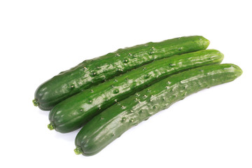 新鮮なきゅうり