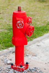 Red fire hydrant stands on the roadside with green grass