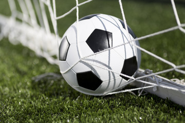 Soccer ball and goal net