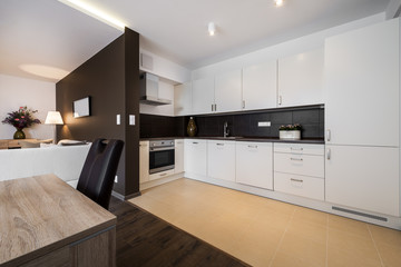 Modern kitchen and living room