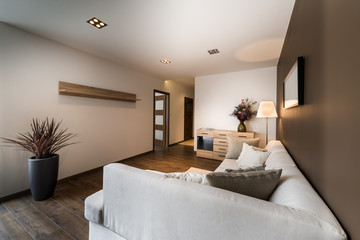 Modern living room in bronze color