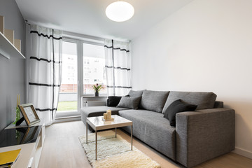 Gray sofa in modern living room